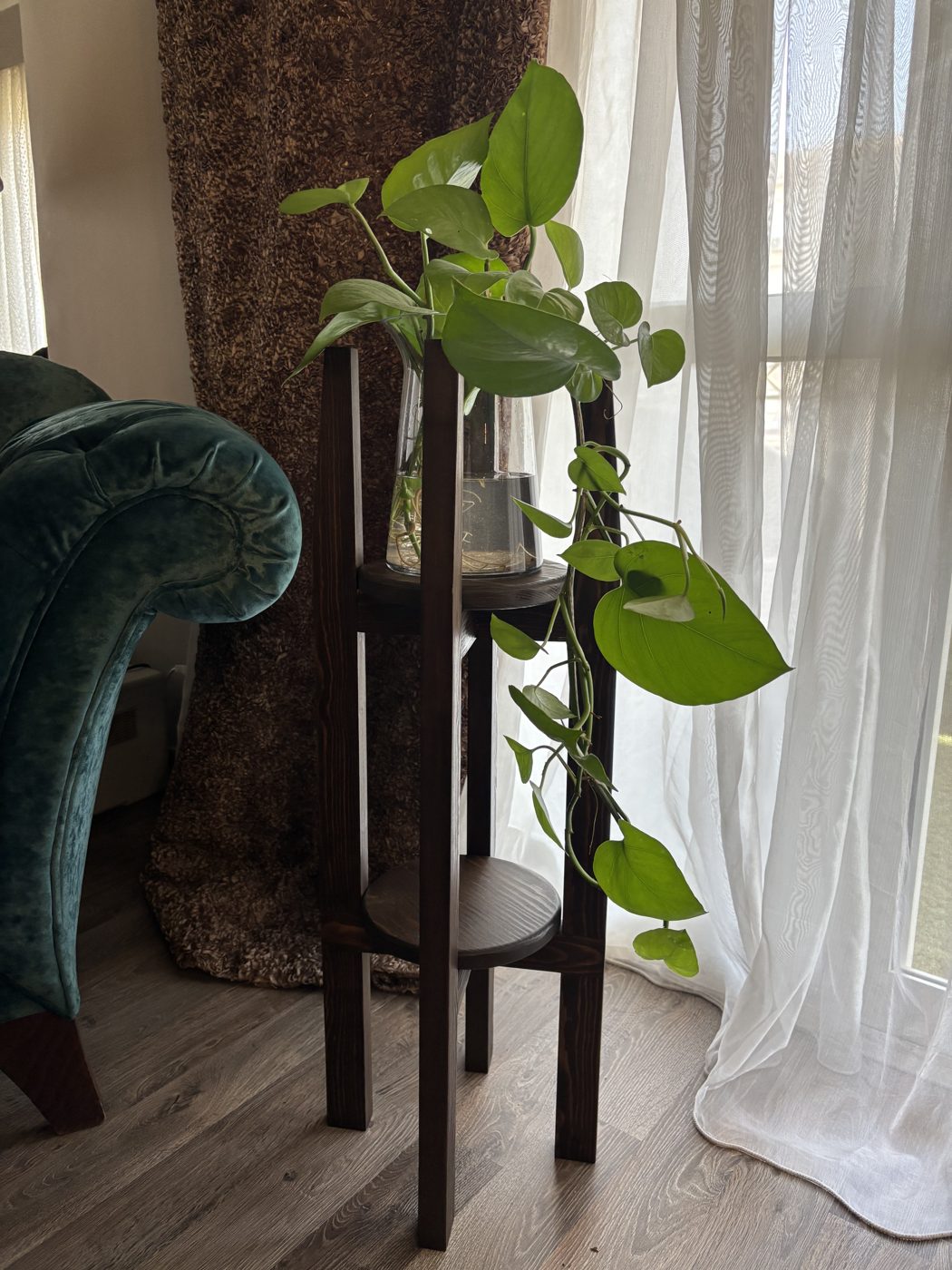 After: the finished dark-stained plant stand with a trailing pothos, at home by a window